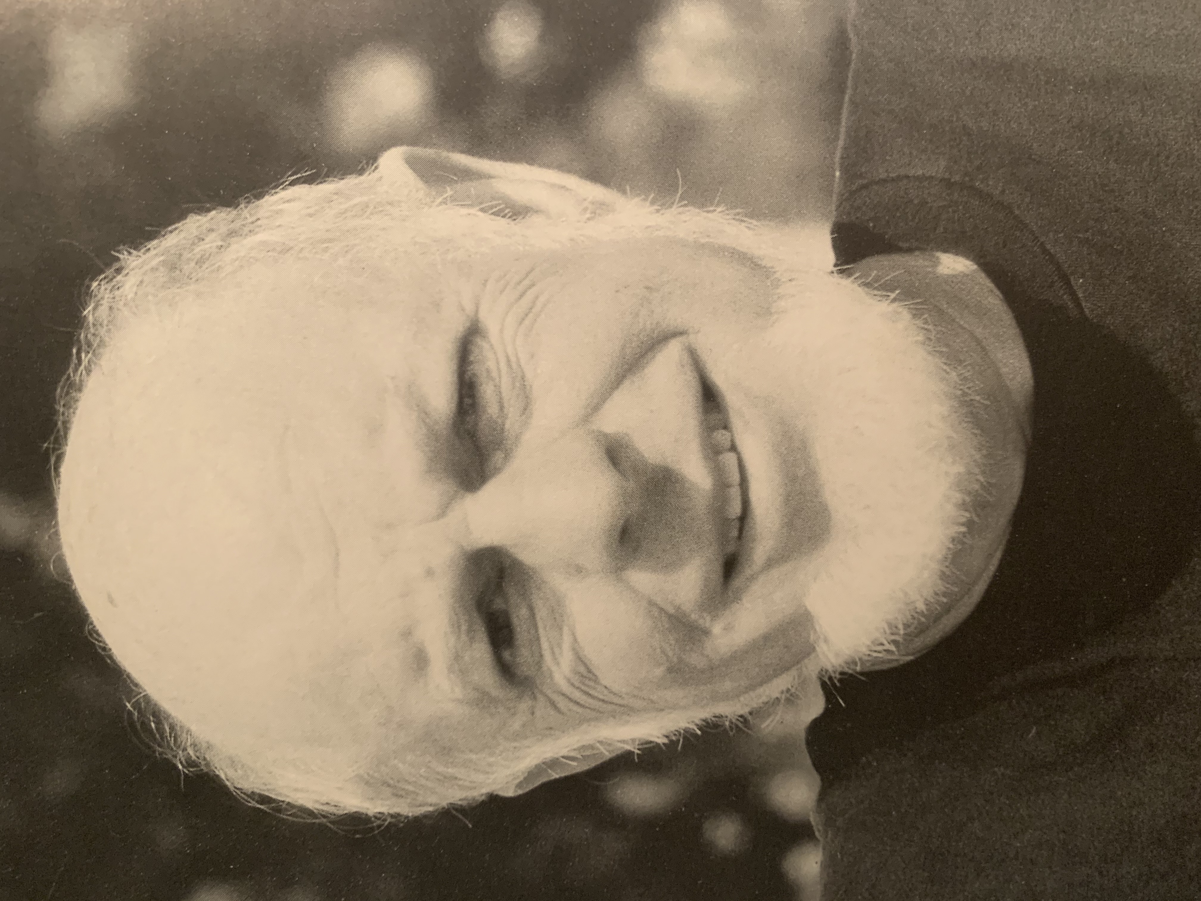 Portrait of Buky Schwartz