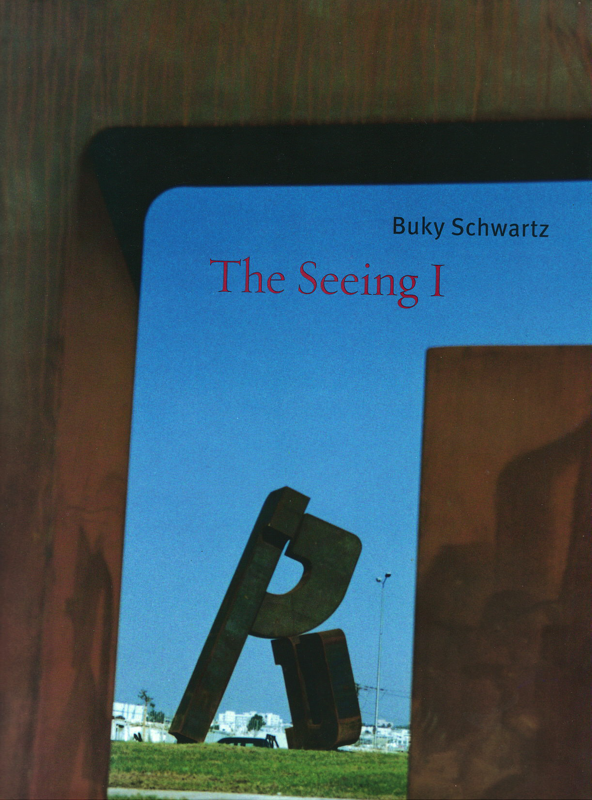 Cover of Buky Schwartz: The Seeing I