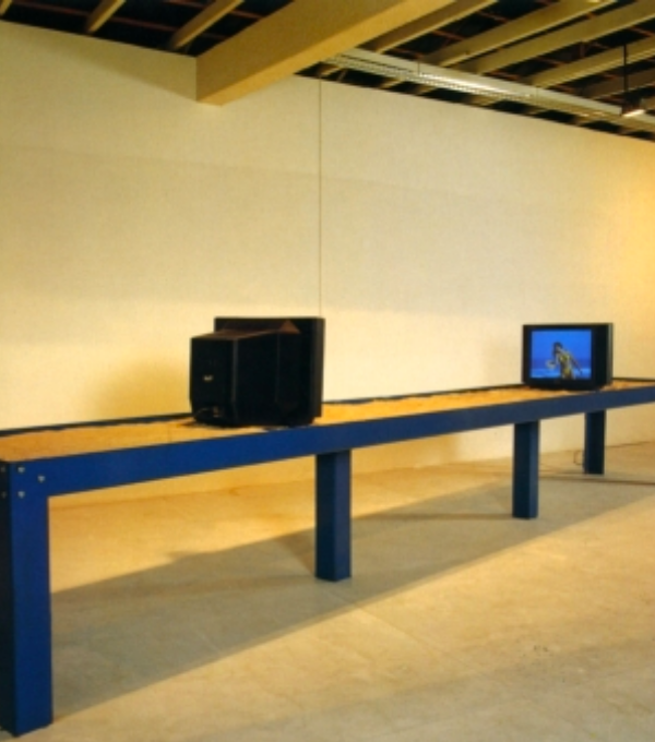Paddle Ball (1990) by Buky Schwartz
