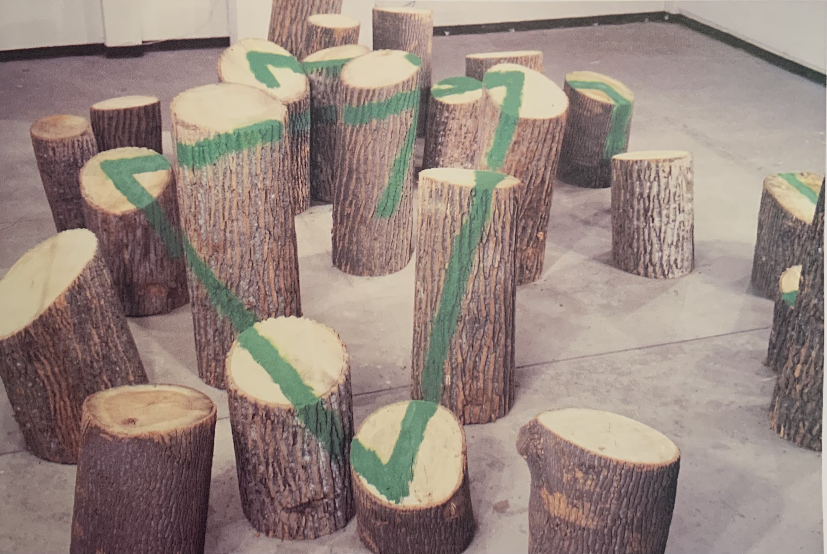 Spring 1981 (1981) by Buky Schwartz — installation view 2