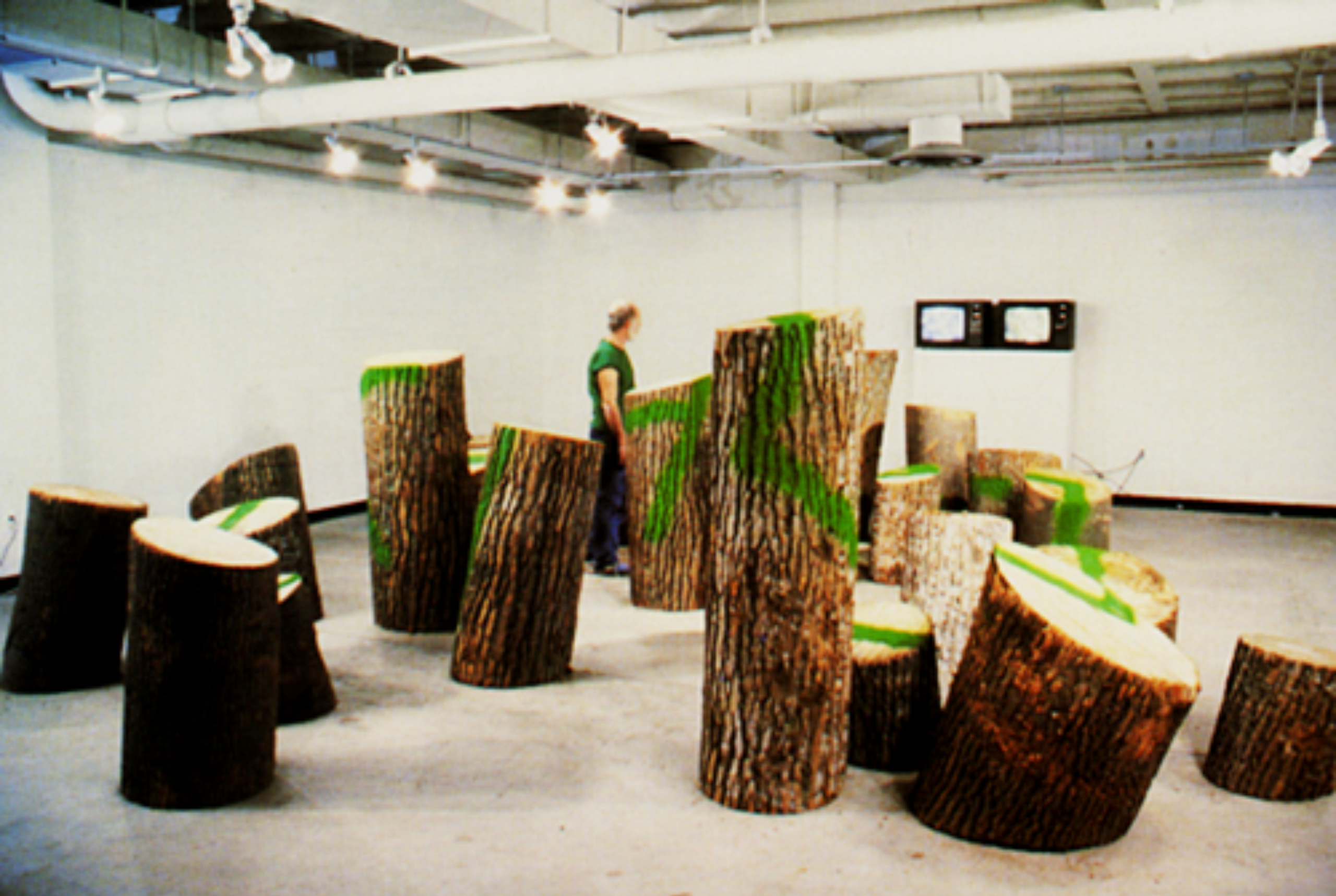 Spring 1981 (1981) by Buky Schwartz — installation view 4