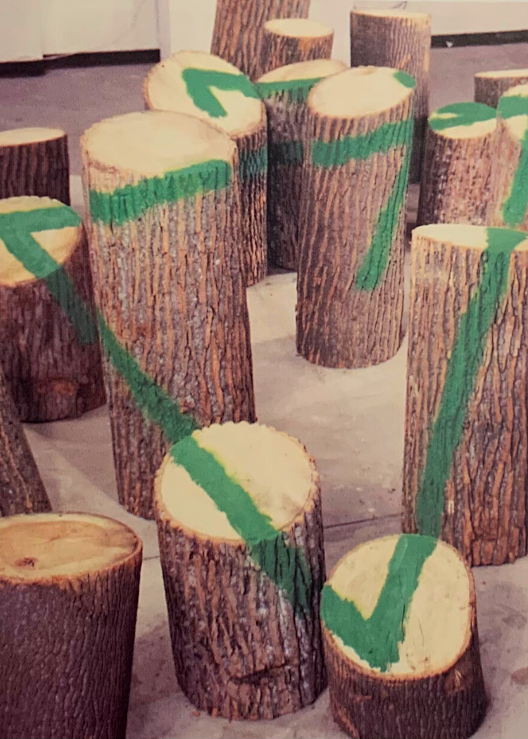 Spring 1981 (1981) by Buky Schwartz — Film and video installation